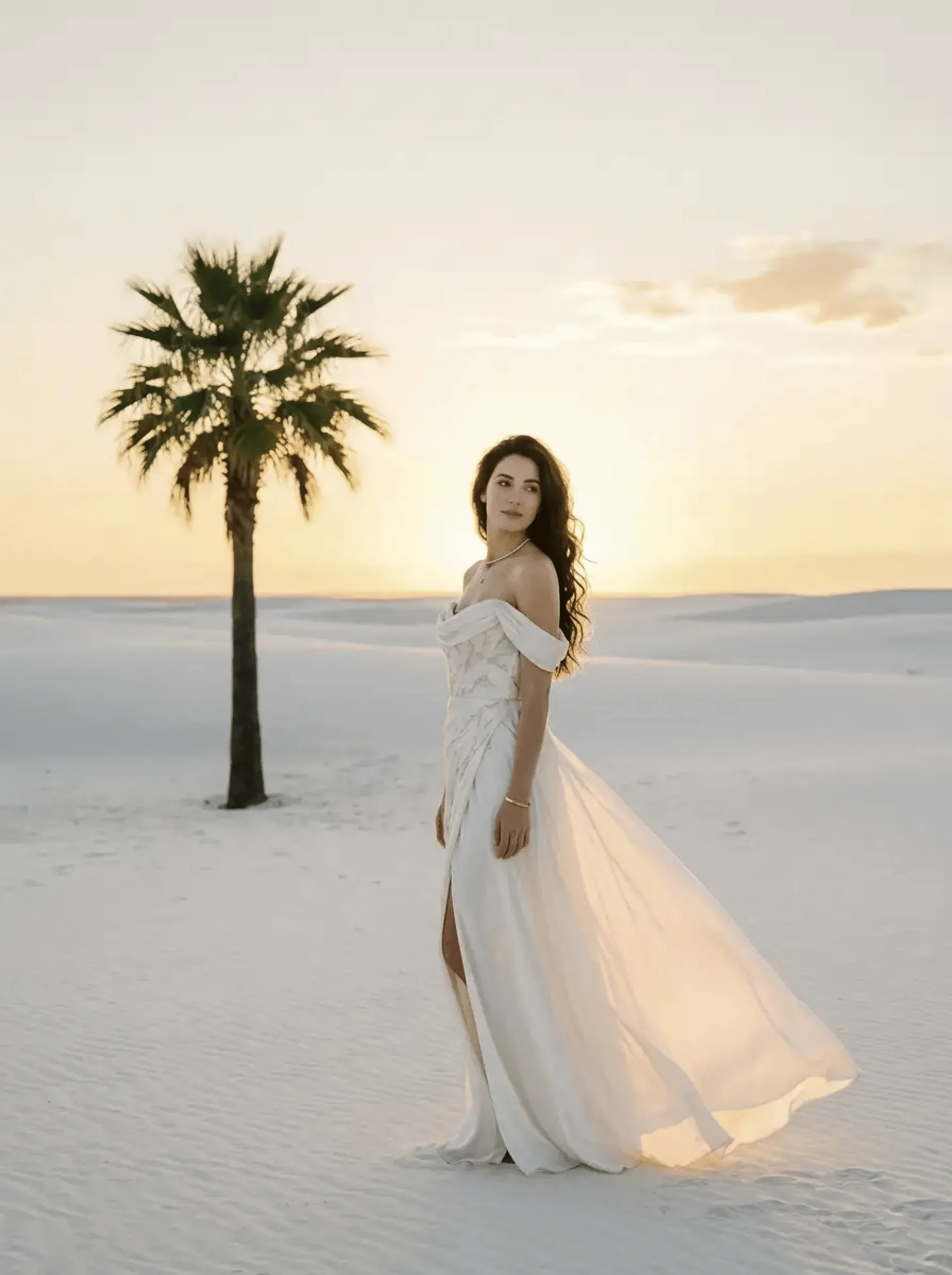 Celvenza Agency Model